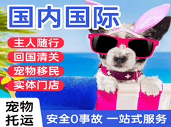 长治航空快运国际宠物托运 【国